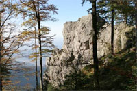 Der Kandelfelsen, vom Wald aus photografiert
